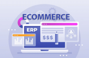 ERP E-commerce