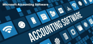 Microsoft Accounting Software